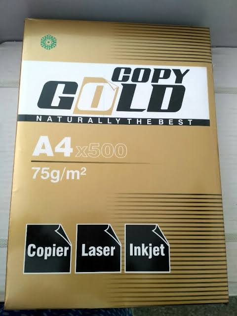 How Paper Is Made: The Journey from Forest to Your Desk