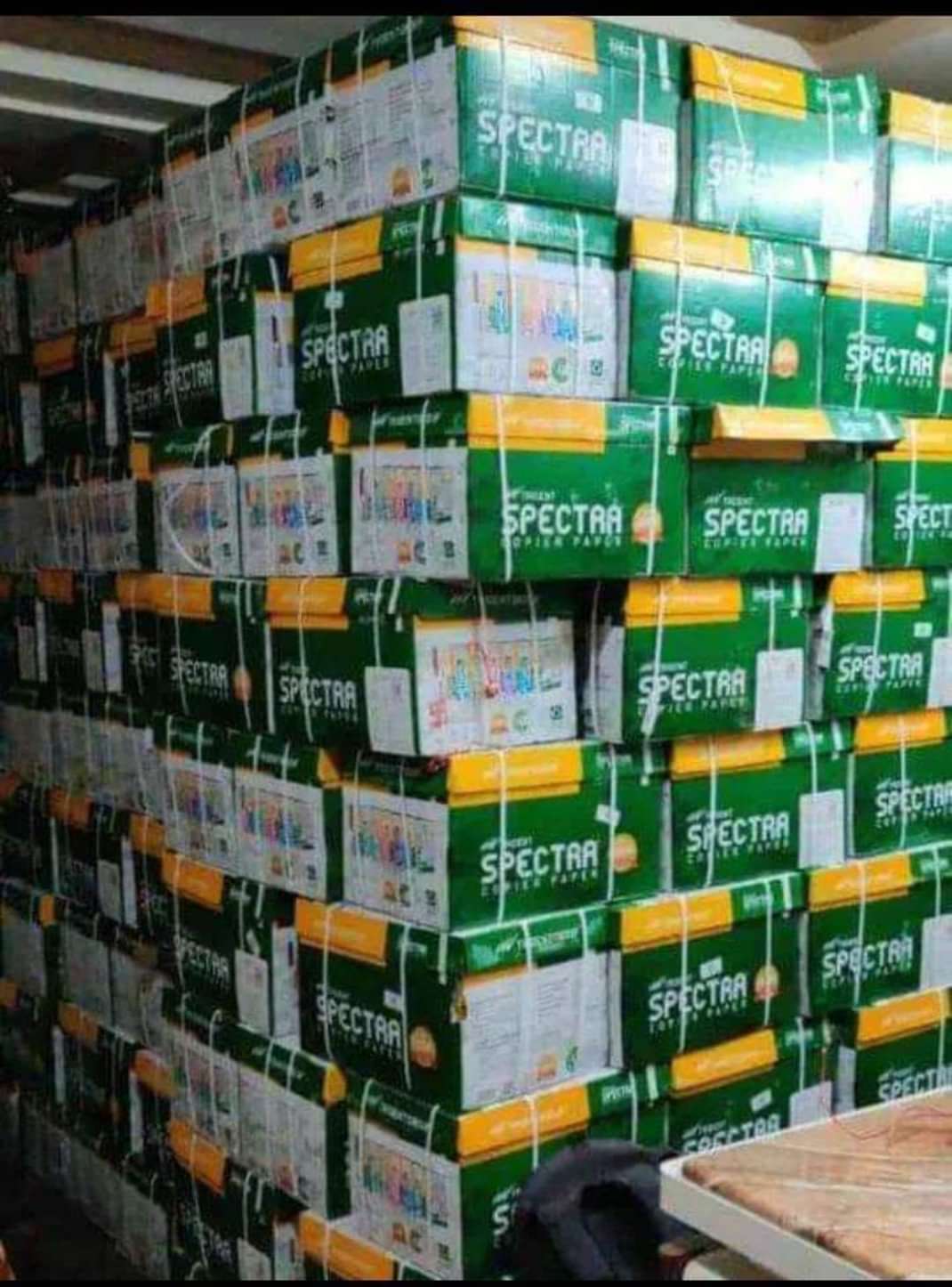 Mega-Mills: Inside JK Paper & Century Pulp